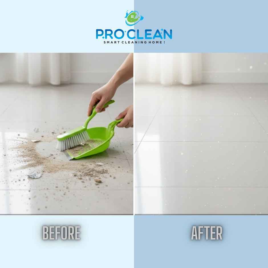 Proclean Dust Pan With Brush - Assorted