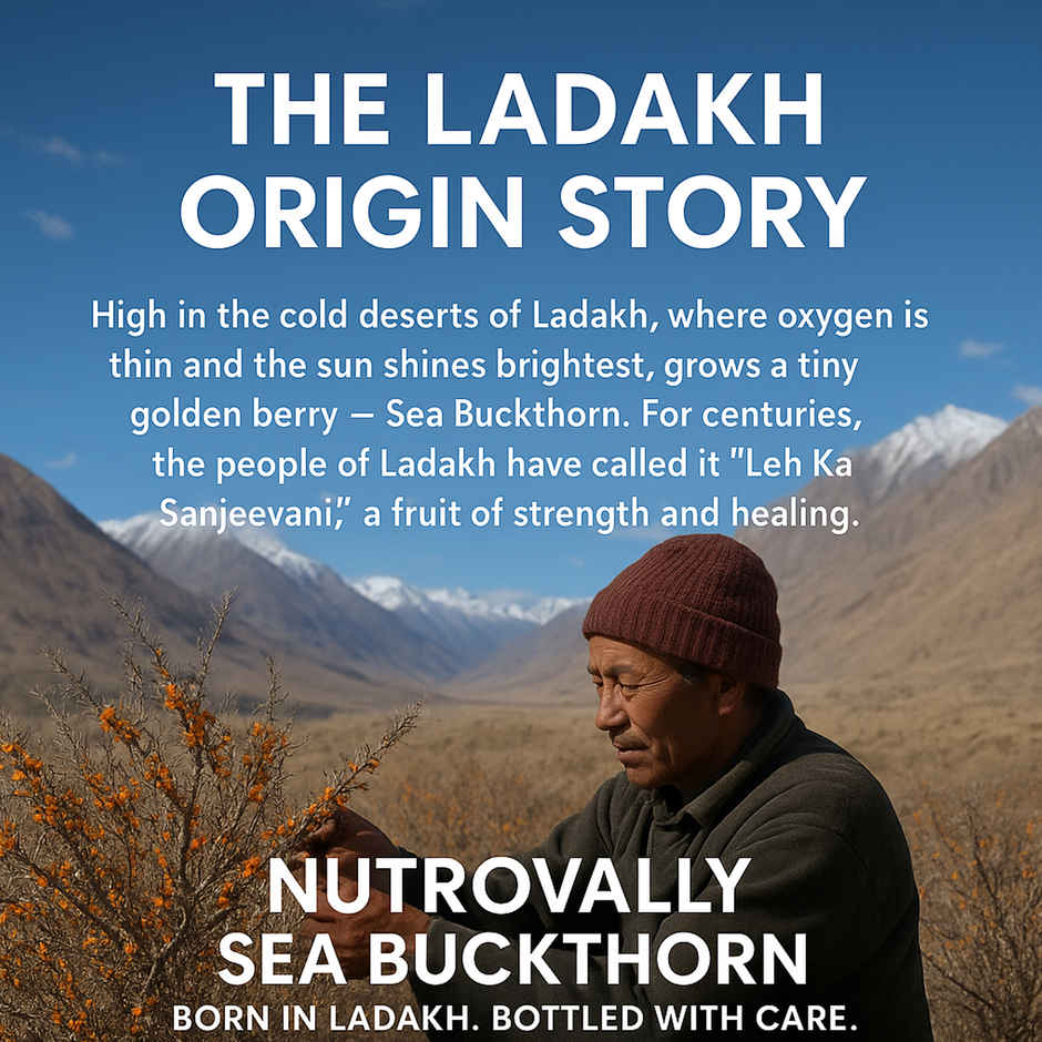 NutroVally Seabuckthorn Pulp Rich in Vitamin C