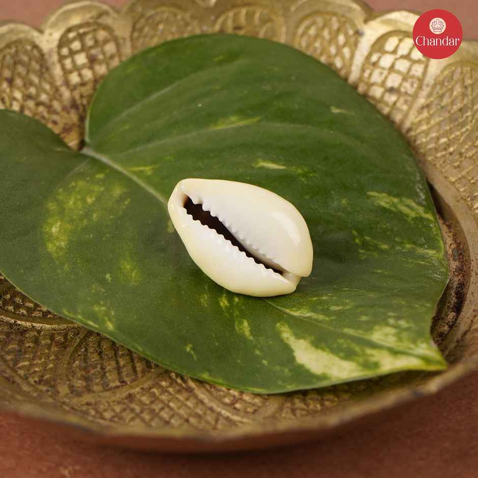 Big Kodi | Traditional & Authentic | Chandar