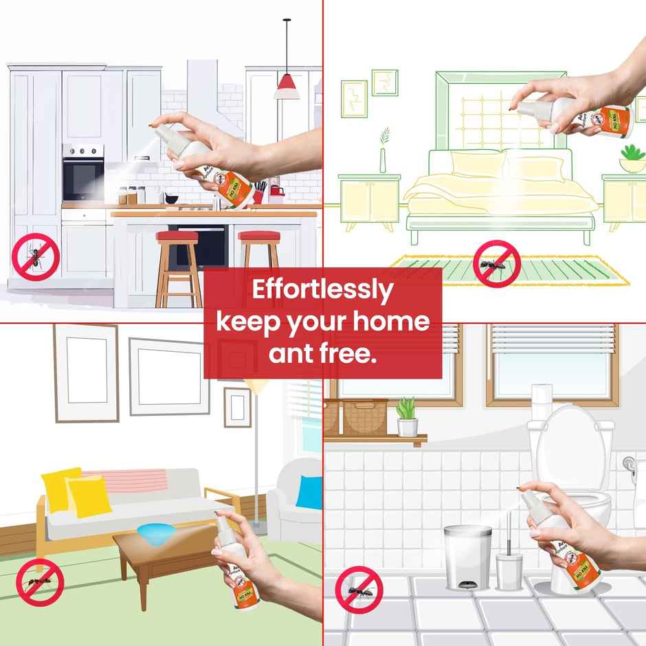 Mr. Right Herbal Ant Repellent Spray for Home | Chemical Free