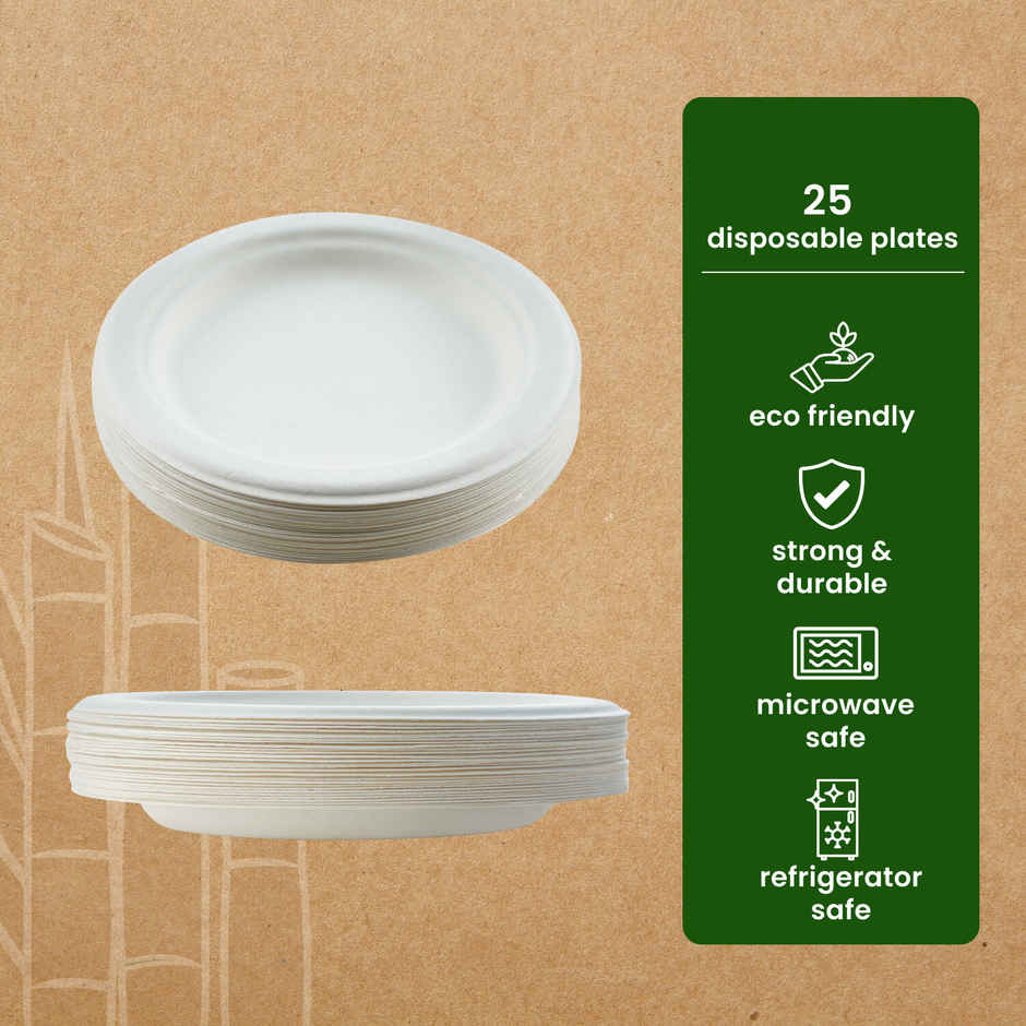 Round Disposable Flat Plate | 15 cm | BAY6