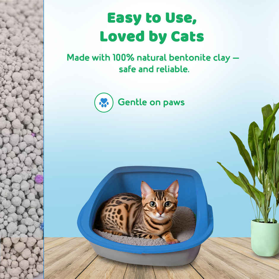 Petoska Bentonite Cat Litter | Jasmine Fragrance Combo