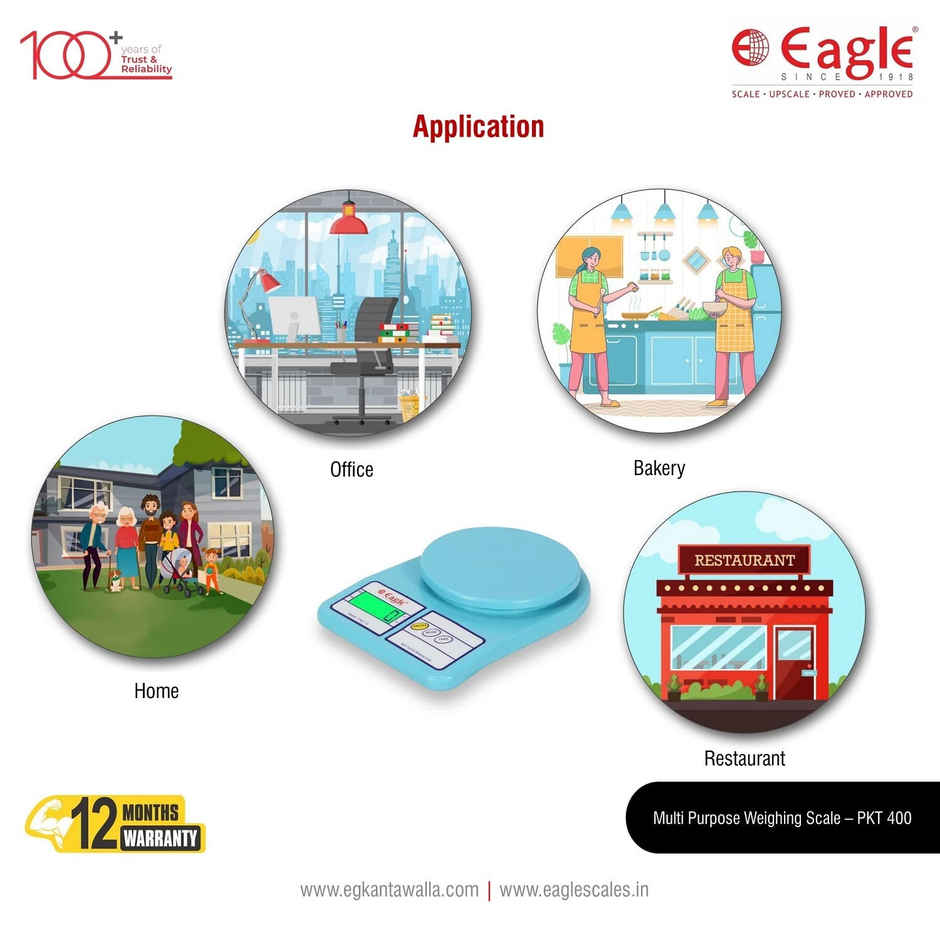 Eagle Digital Weighing Scale - Strain Gauge Sensor System