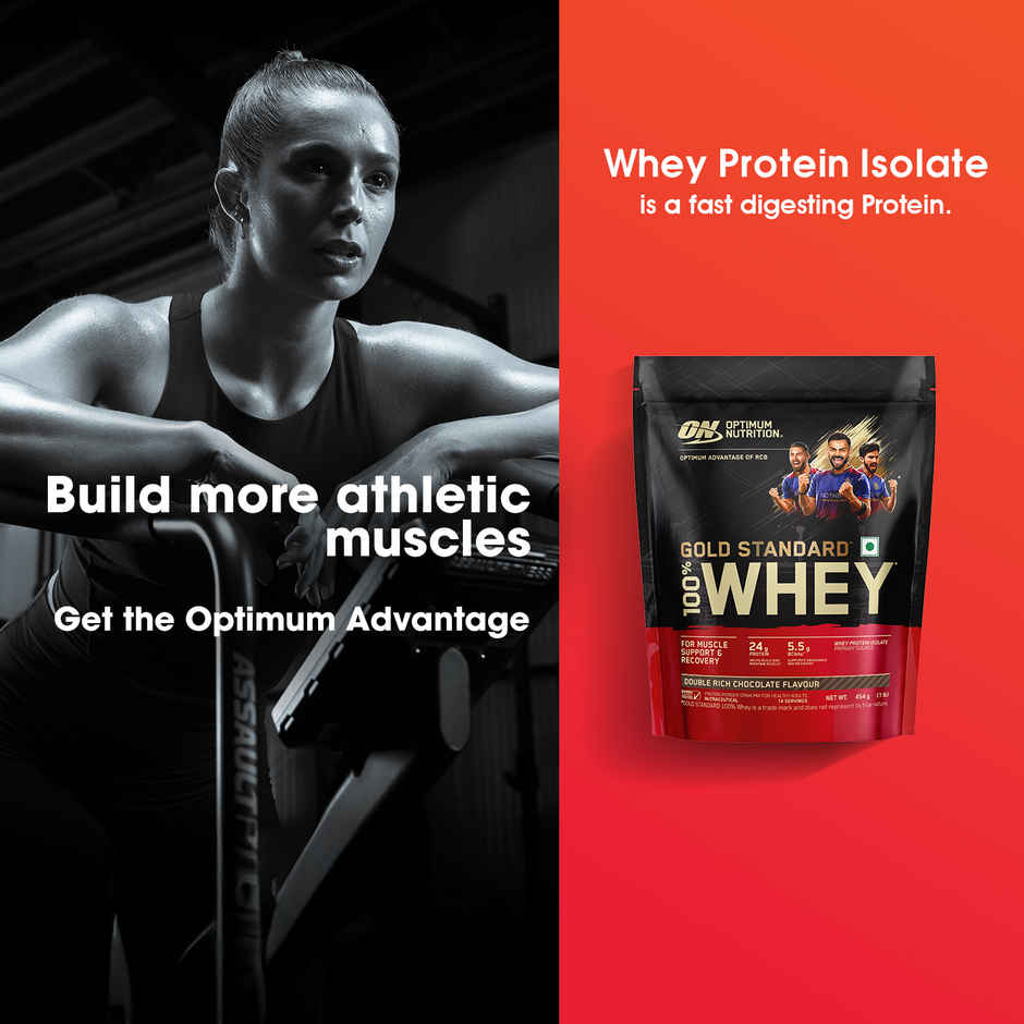 Optimum Nutrition (ON) Whey Gold Standard Powder Double Rich Chocolate1 lb Combo