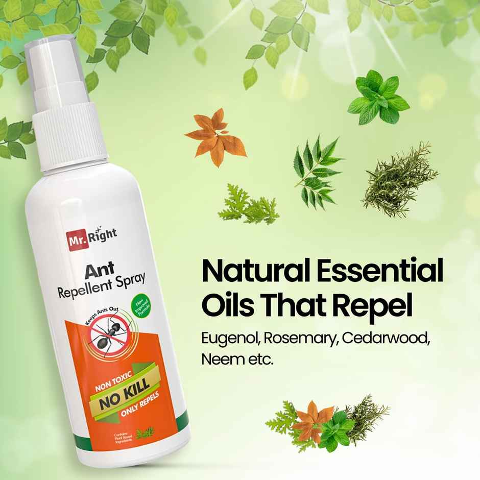 Mr. Right Herbal Ant Repellent Spray for Home | Chemical Free