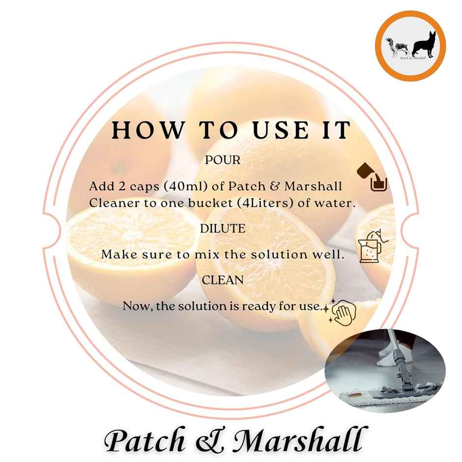 Patch & Marshall Pet Kennel Wash