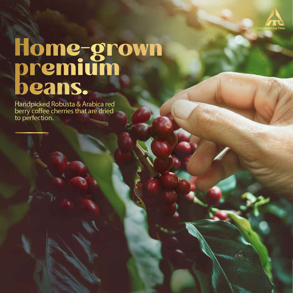 Sunbean Rich and Intense Aroma Medium Roast Instant Coffee