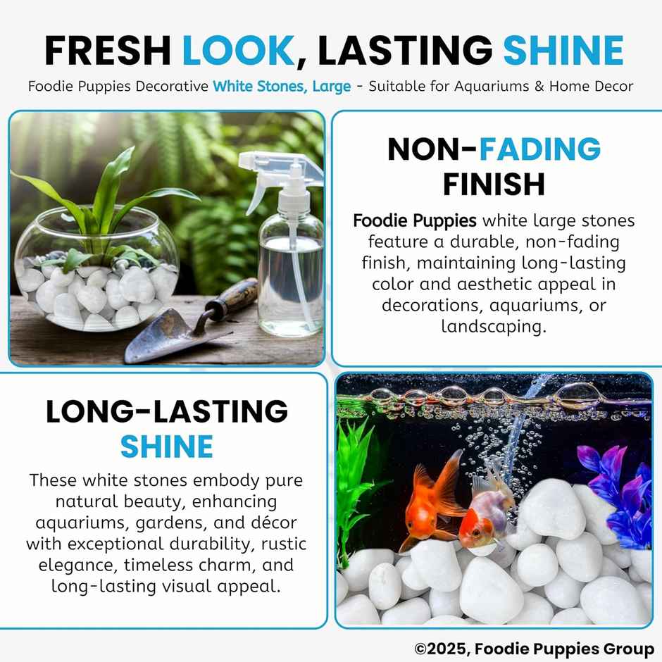 Foodie Puppies White Polished Pebbles Glossy Stones for Aquarium and Fish Tank 2Kg