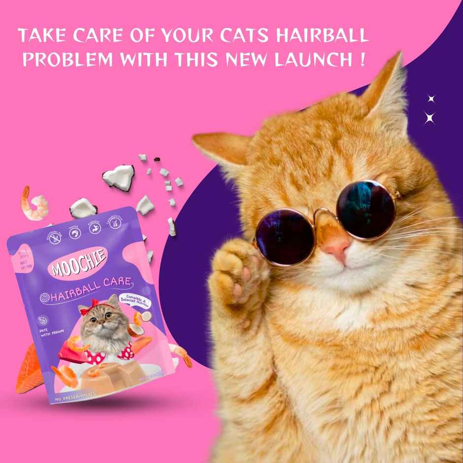 Moochie Cat Wet Food - Hairball Care - Pate With Prawn In Gravy | Gluten Free & No Preservative