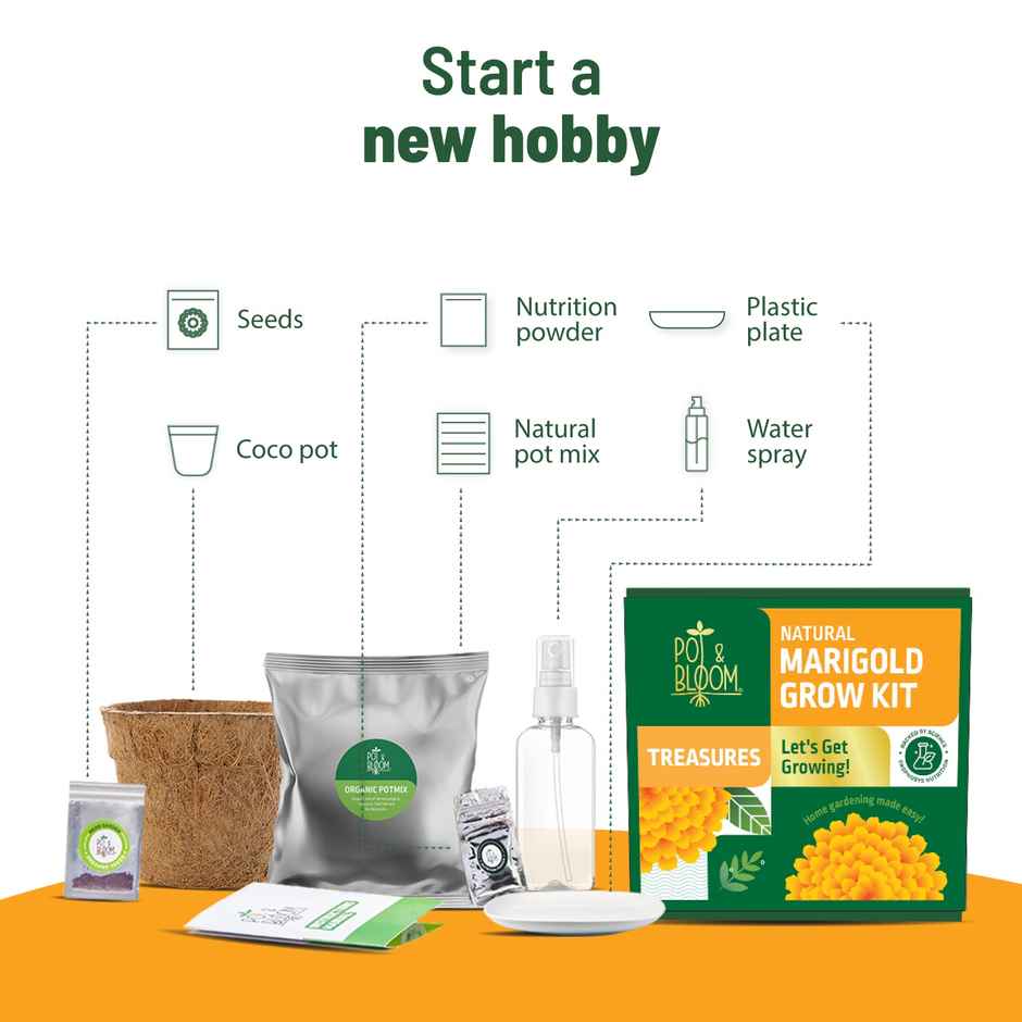 Pot And Bloom Treasures Marigold Grow Kit