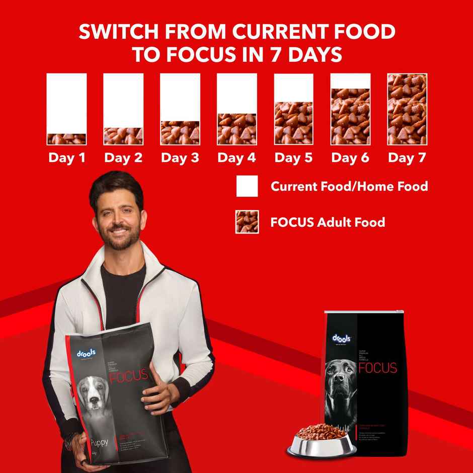 Drools Focus Adult Super Premium Dog Food