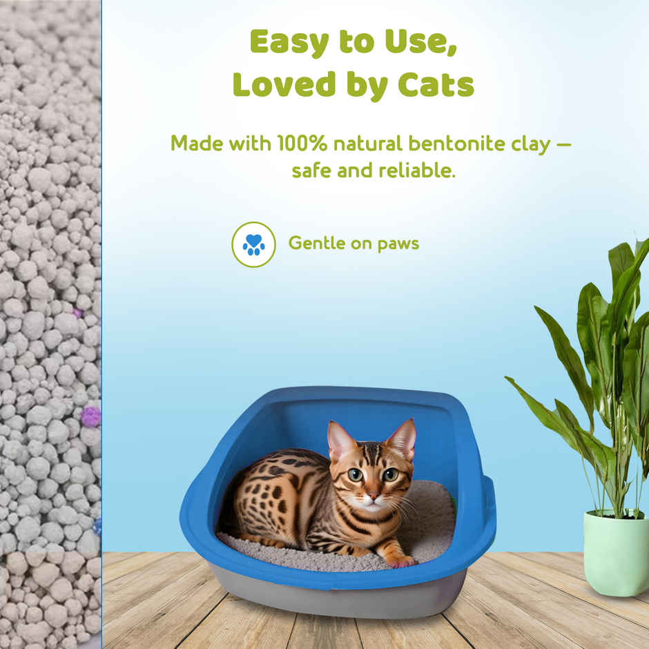 Petoska Bentonite Cat Litter | Lemon Fragrance