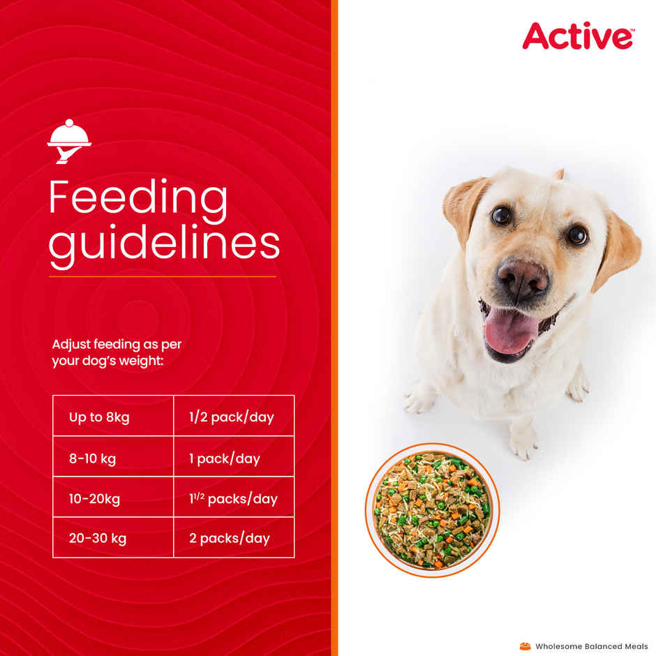 Active Chicken and Pumpkin Biryani Fresh Dog Food