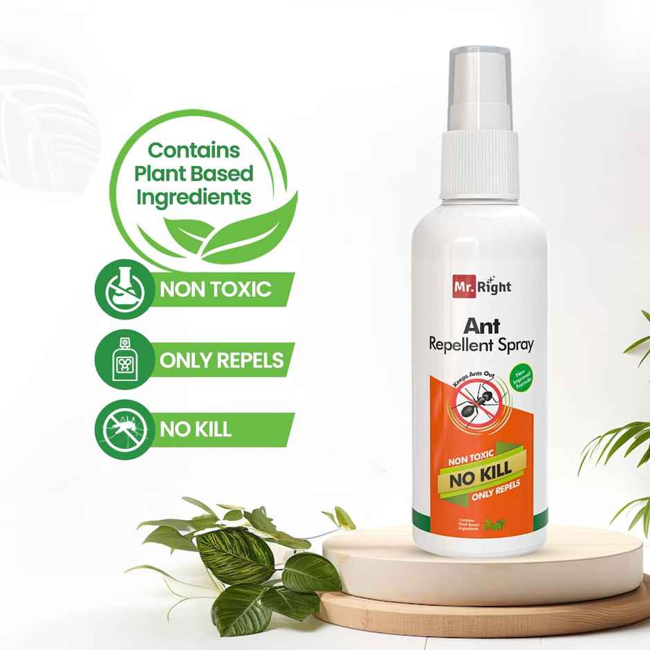 Mr. Right Herbal Ant Repellent Spray for Home | Chemical Free
