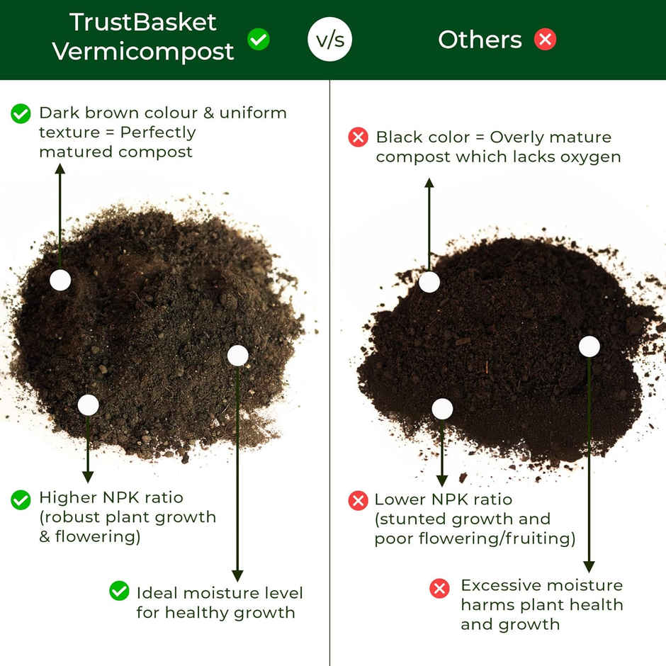 TrustBasket Vermicompost