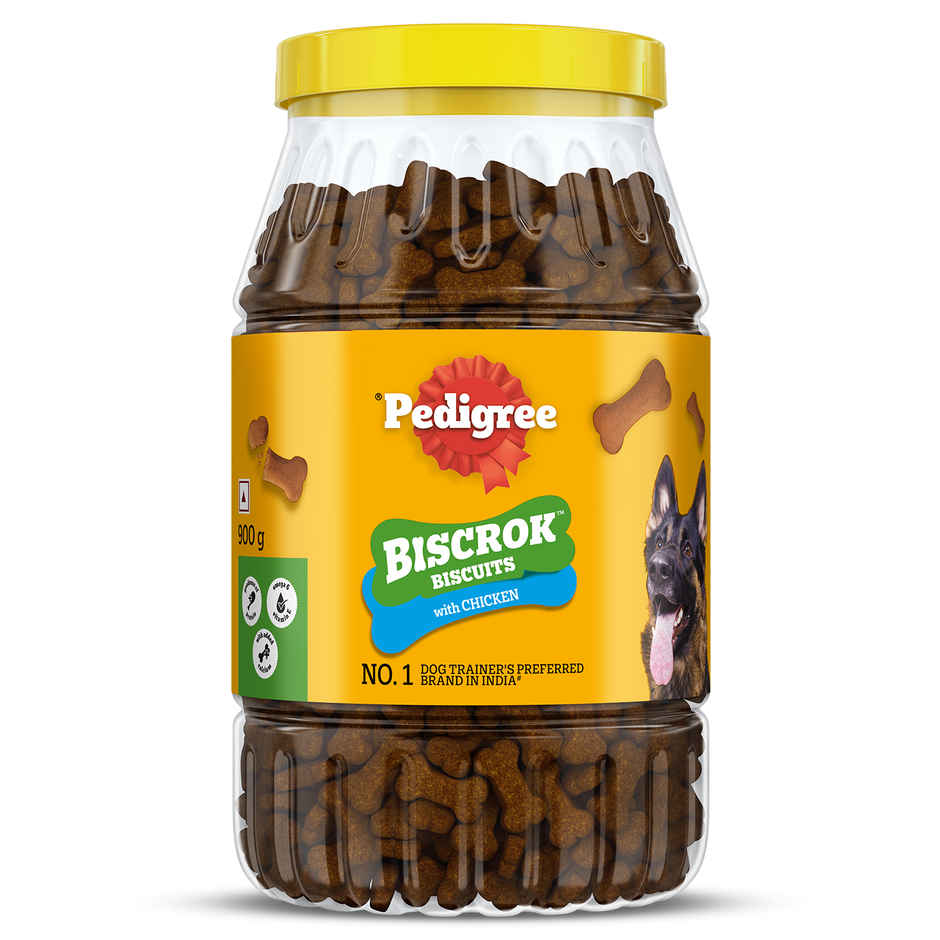 Pedigree Biscrok Dog Biscuits | Above 4 Months | Chicken Flavour | Jar