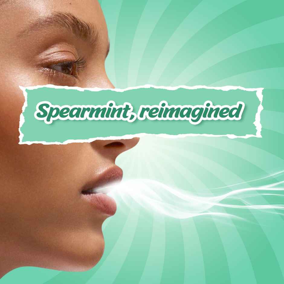 MOUNTAIN BREEZE Sugar Free Strip | Spearmint