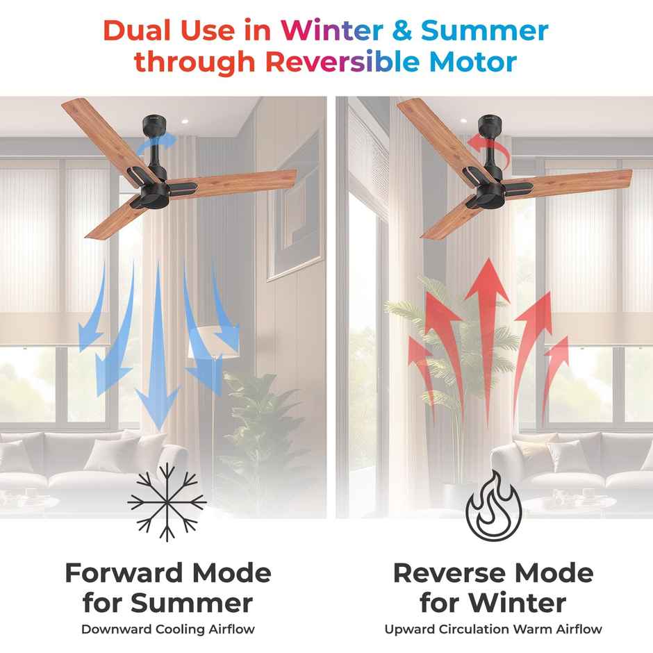 Polycab Wizzy Neo BLDC Ceiling fan,1200mm,5-Star,Remote Control,100% Copper,Natural Wood