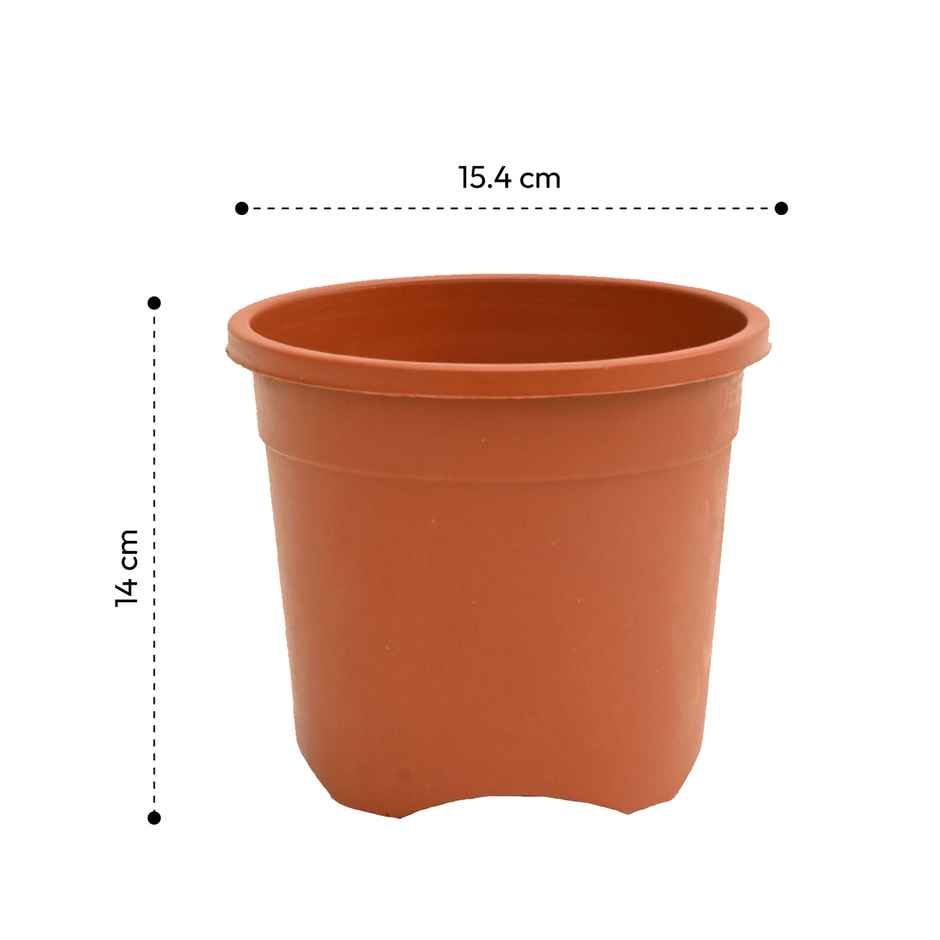 Ugaoo Gardening Plastic Pots For Plants (6 Inch Brown Color Set Of 6 ) Plant Container Set