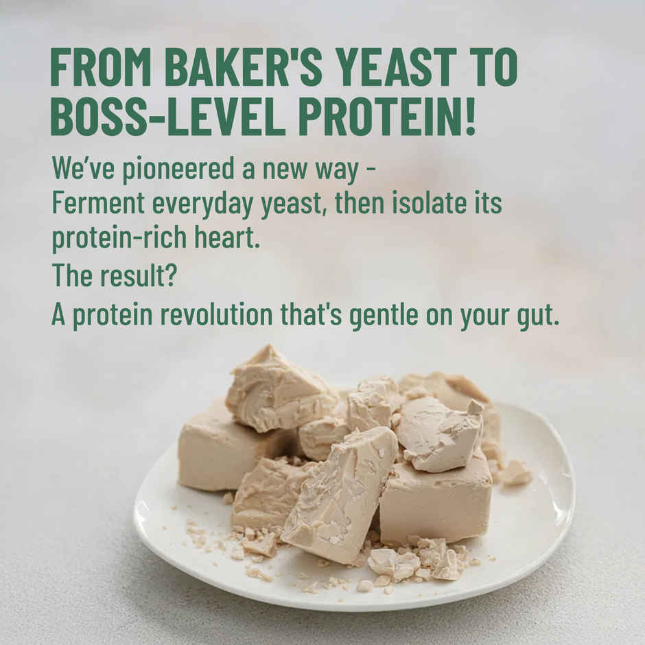 Mille Plant Protein | 25g Protein/Scoop | Coffee Hazelnut | Fermented Yeast Protein