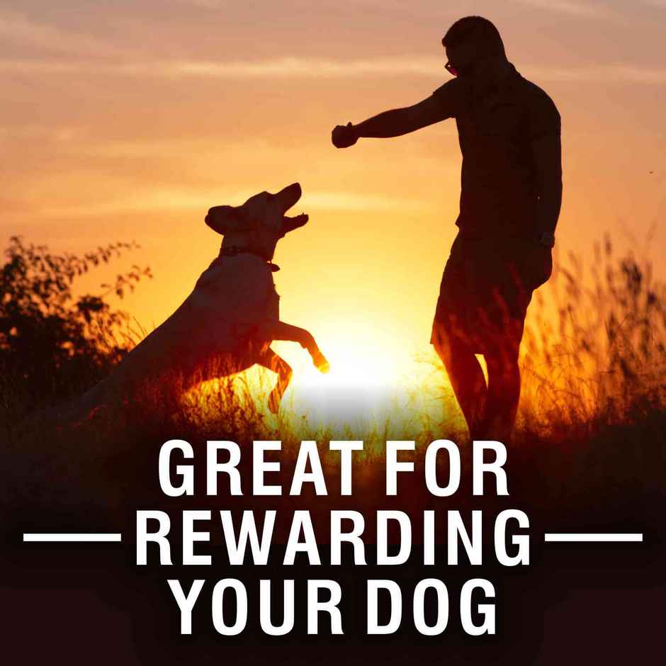 Purepet 100% Vegeterian Dog Biscuit Treats Jar