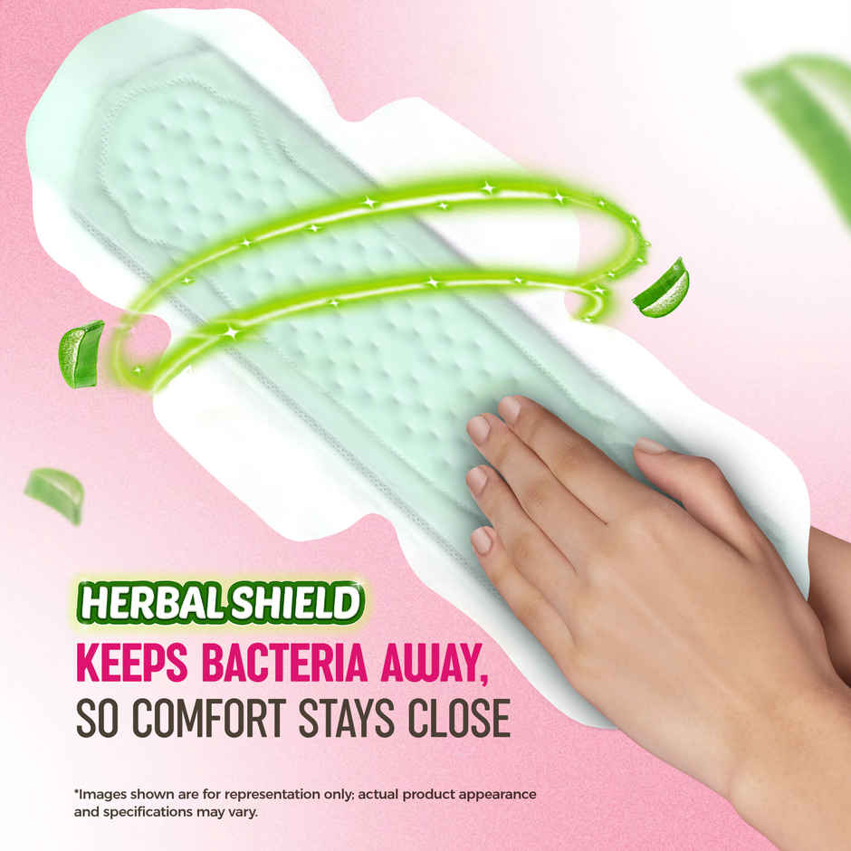 Sofy Anti Bacteria Sanitary Pads | XL