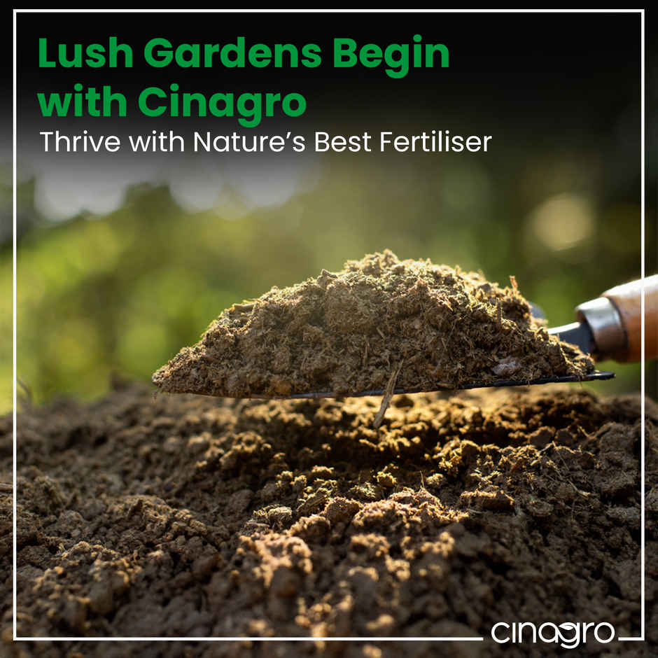 Cinagro Cow Dung Manure Plant Fertilizer for Soil Enrichment