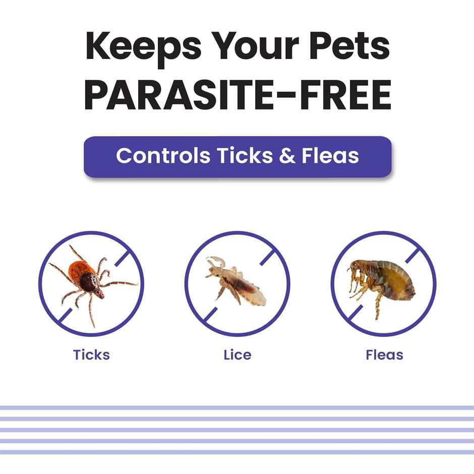Vivaldis Anti Tick, Flea & Lice Treatment Spot On For Dogs | Vi-Fi Forte | 10-20 Kg (1.34ml) & Vivaldis Vi-Fi Forte-Tick, Flea, Lice Spray For Dogs, Cats, Kitten & Puppies With Fipronil (100ml) Combo