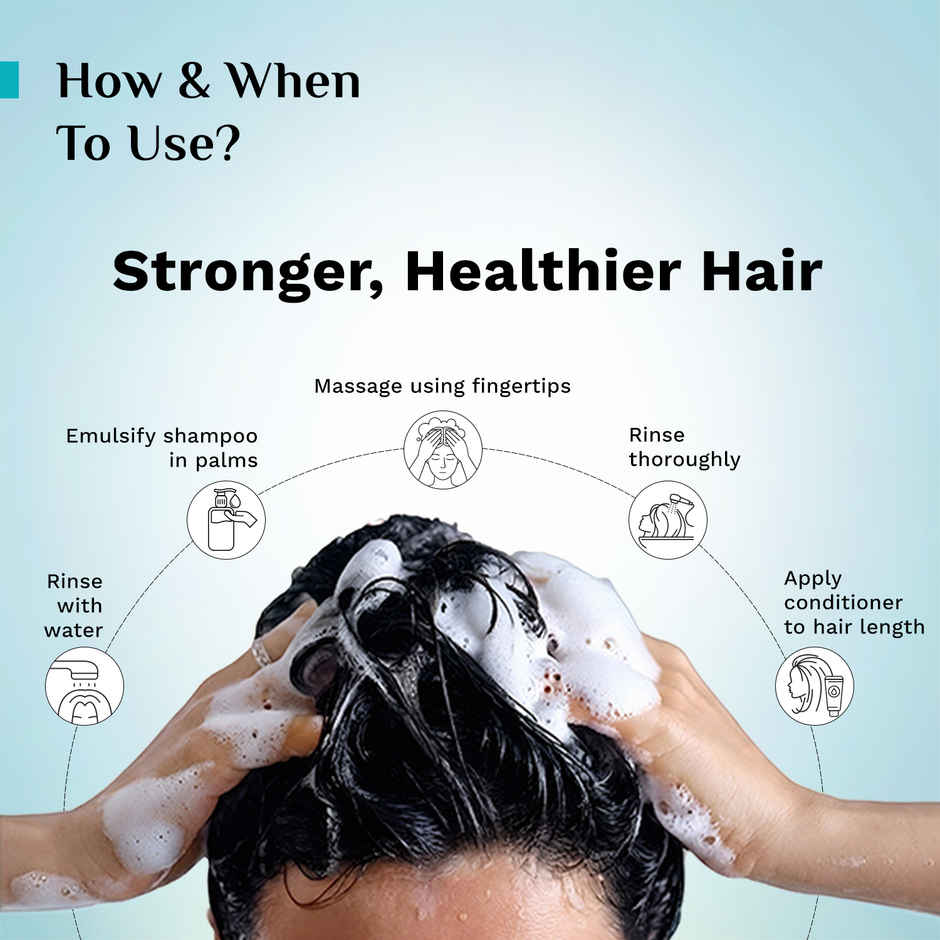 Pilgrim Spanish Rosemary and Biotin Anti-Hairfall Shampoo for Hair Fall & Stronger Hair