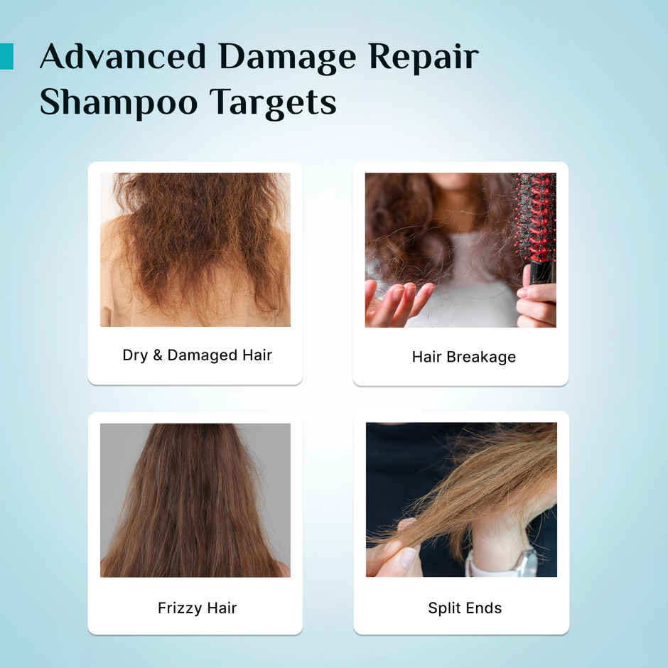 Pilgrim Korean Rice Water & Collagen Advanced Repair Shampoo for Damaged Hair