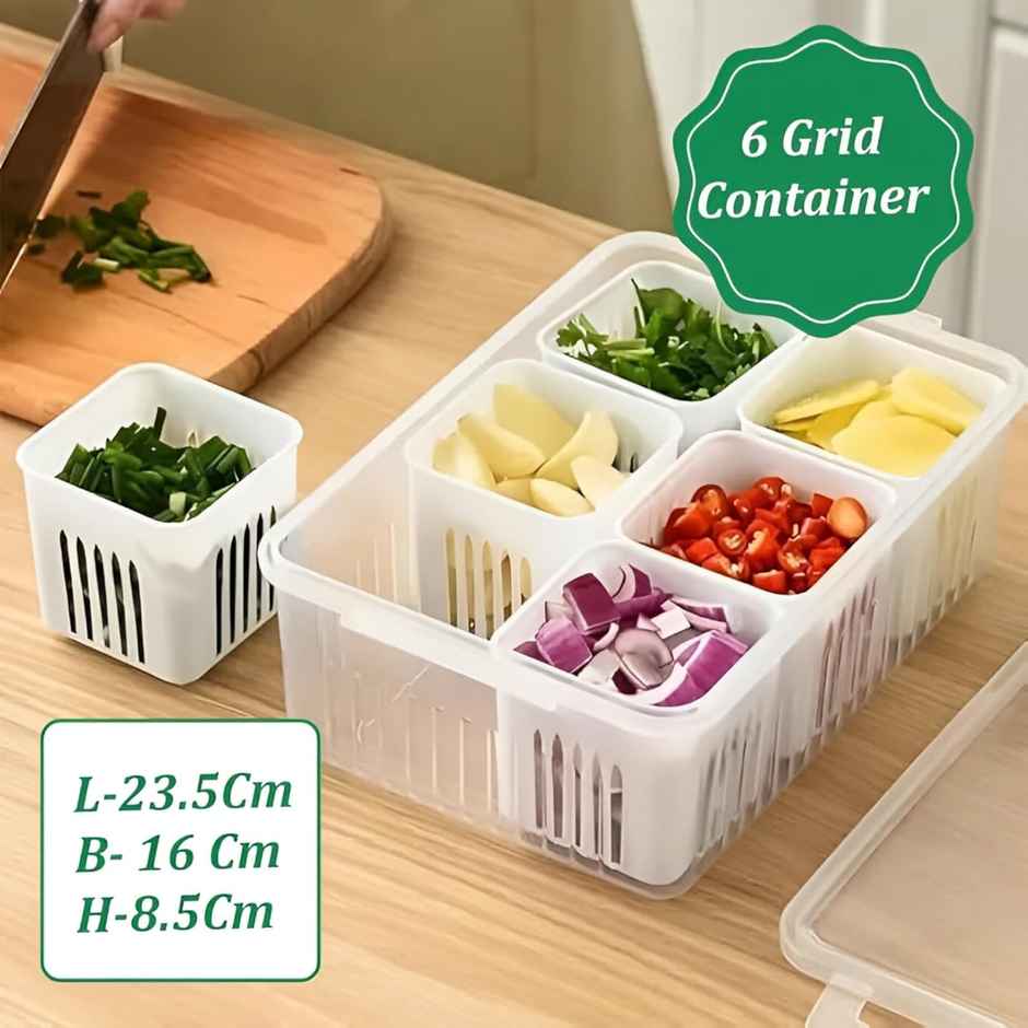 Perpetual Fridge Storage Boxes | 6-Grid Freezer Containers for Vegetables & Fruits