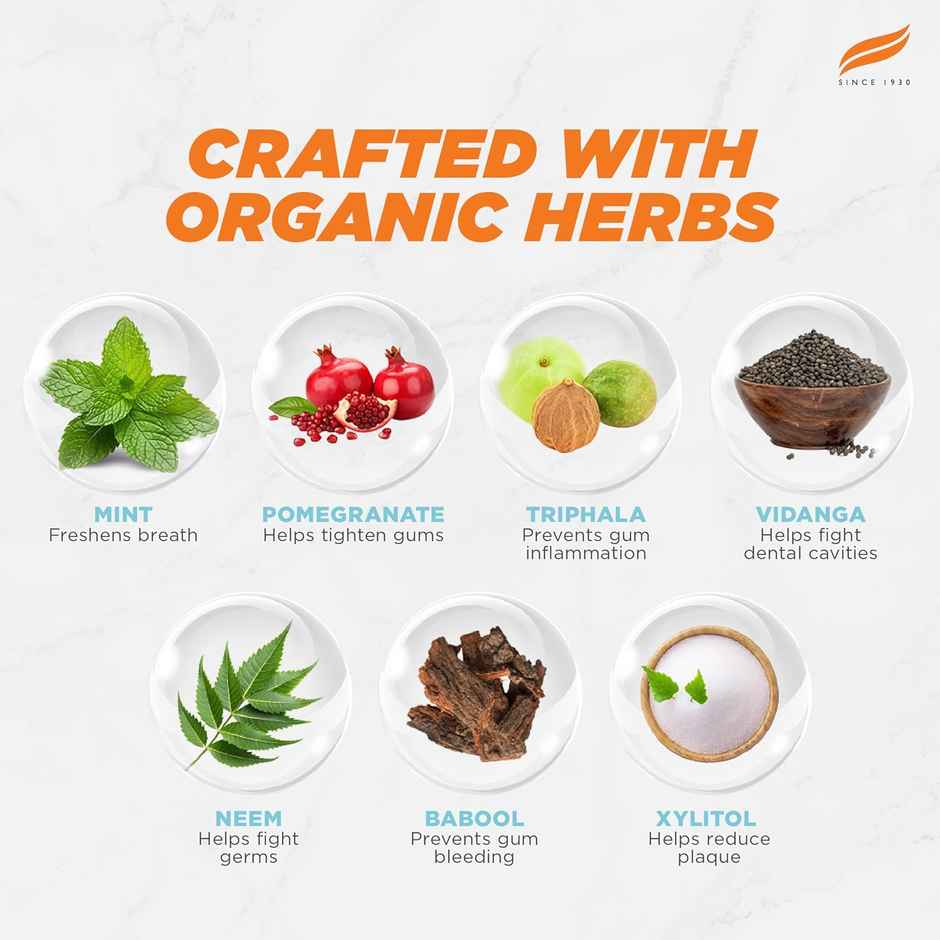 Himalaya Bot W Hyd Toothpaste Mint