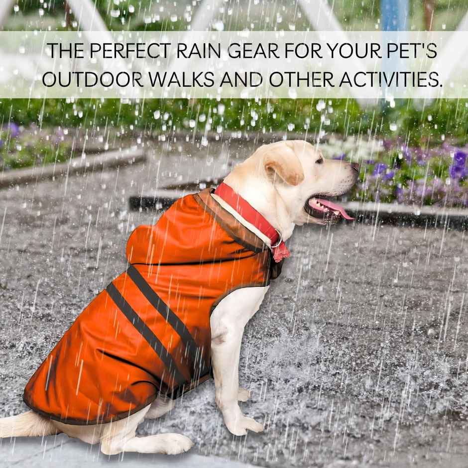 Pets Empire Lightweight Orange Raincoat Jacket for Small Breed Adult Dogs | XL - 16 in