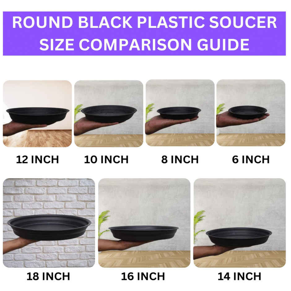 Nayra Plant Tray/Saucer Round Black Plastic Tray for Plant pots | 8 Inch | 6 Pcs