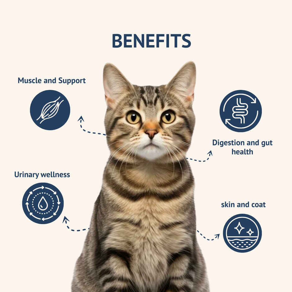 Goofy Tails Mackerel & Chicken Cat Meals