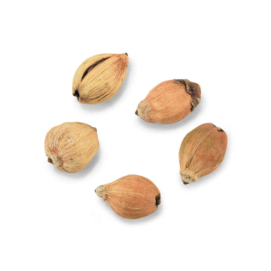 Pujashree Laghu Nariyal | 100% Natural | Long Shelf Life