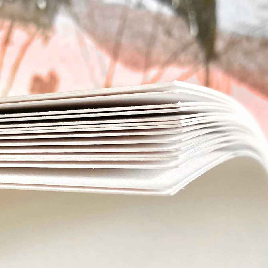 Drawguud Mixed Media Paper 300Gsm A4 8.3X11.7 In Pack Of 10