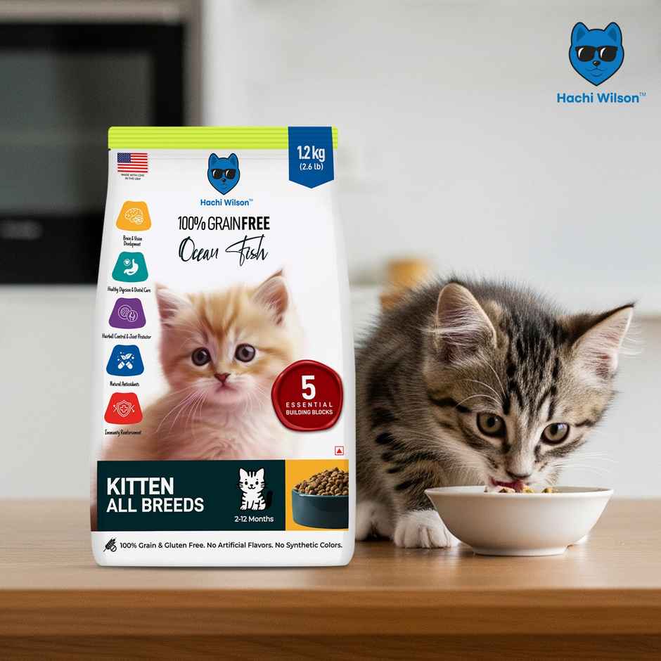Hachi Wilson Premium Kitten Dry Food | Ocean Fish Flavours