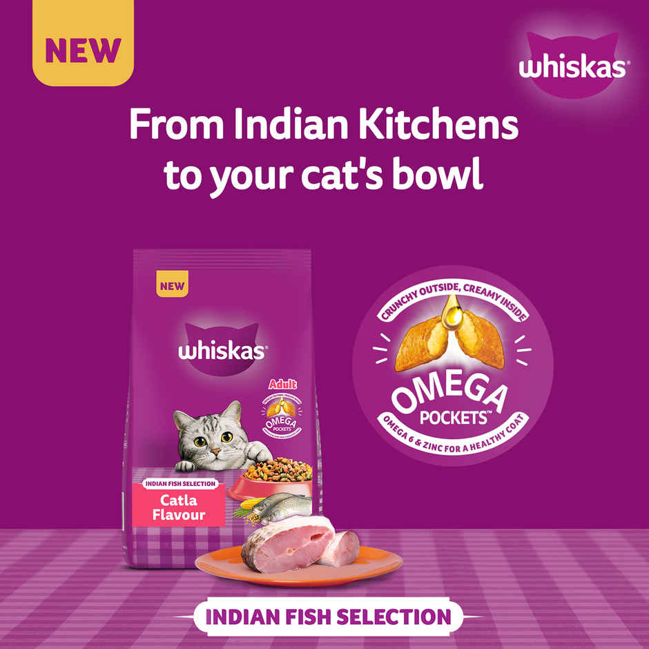 Whiskas Adult Dry Cat Food 1 Plus Years Catla Fish Flavour