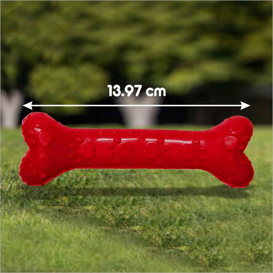 Drools Non-Toxic Rubber Dog Toy, Puppy/Dog Teething Toy (Medium) - 5 inches
