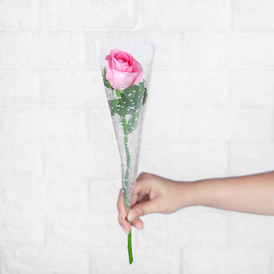 Fnp Mother's Day Single Rose