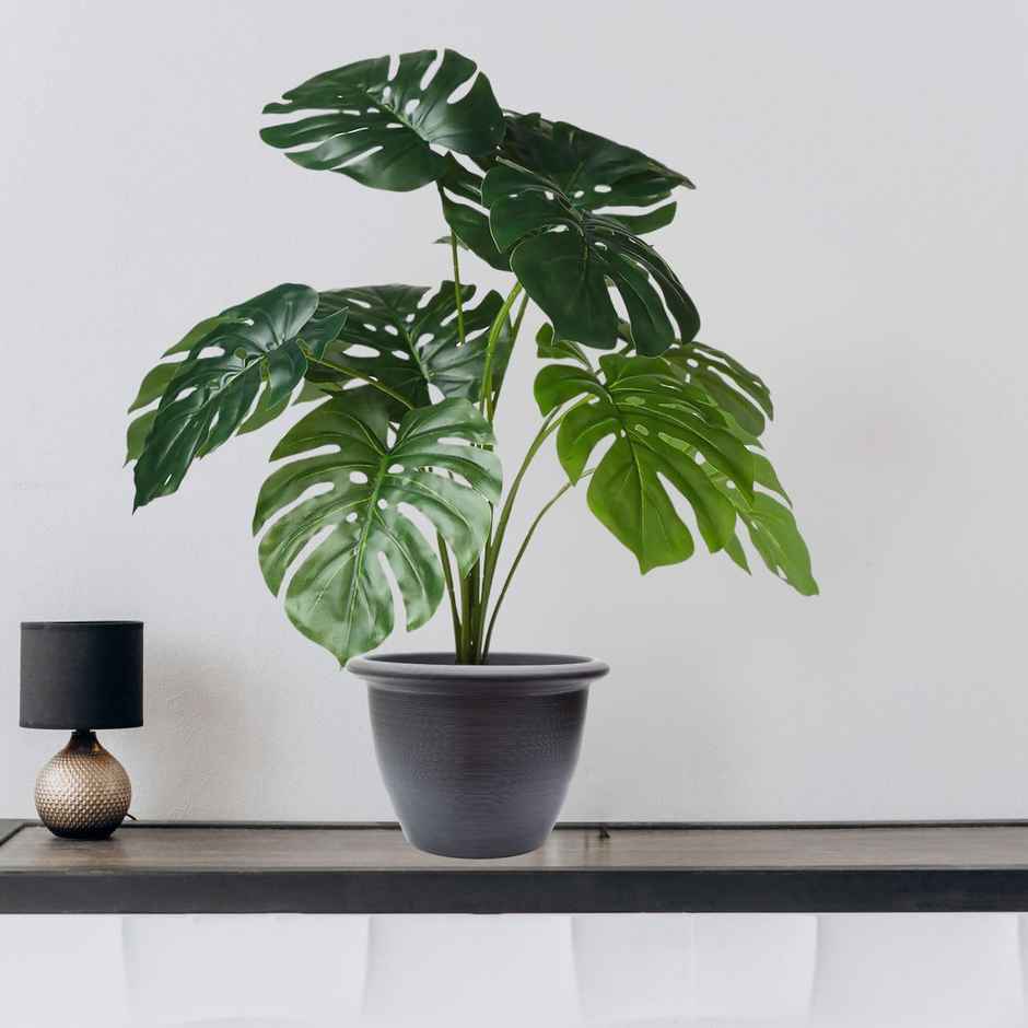 Go Hooked 12 Artificial Monstera Plant Leaves with Complimentary Nursery Pot