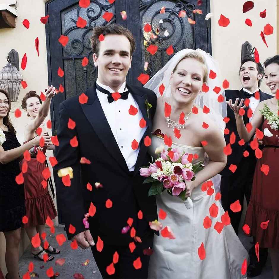 Party Poppers Fancy | Rose Petals | 30 cm | Party Propz