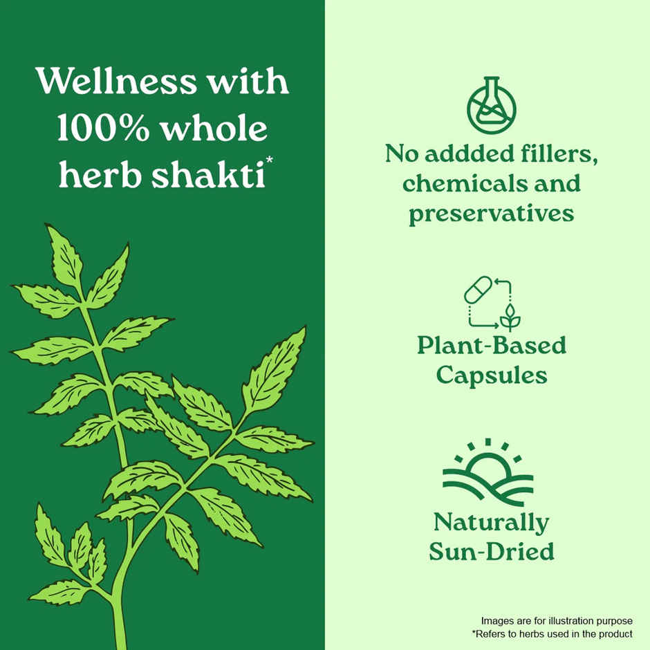 Organic India Neem VEG Capsule 60