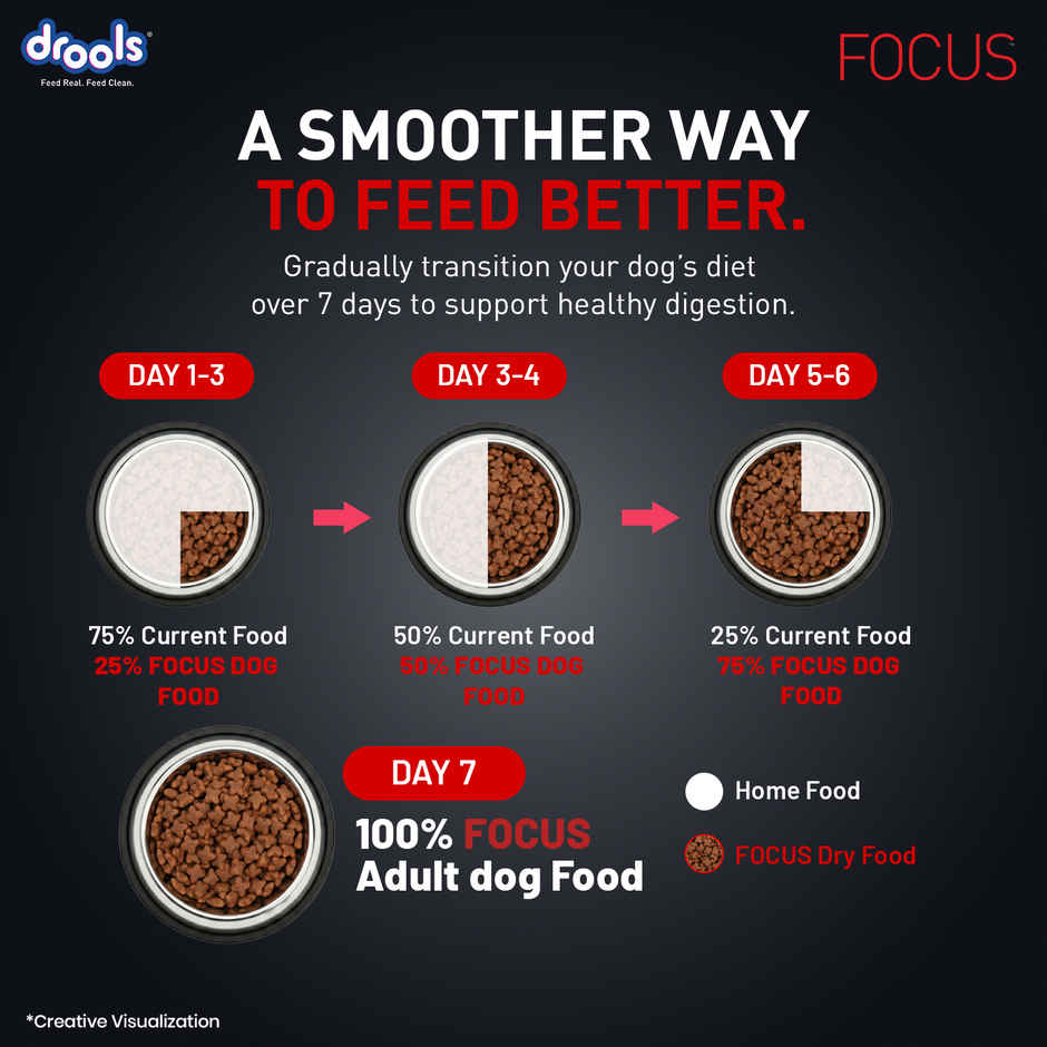 Drools Focus Adult Super Premium Dog Food