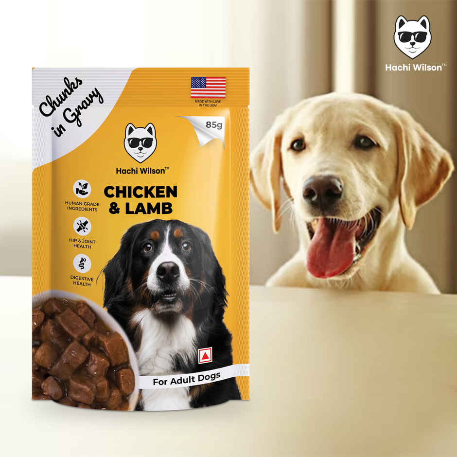 Hachi Wilson Premium Chicken & Lamb chucks in gravy