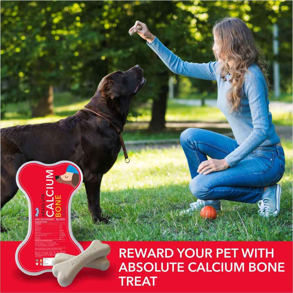 Drools Absolute Calcium Bone Jar | Dog Supplement - 40 Pieces
