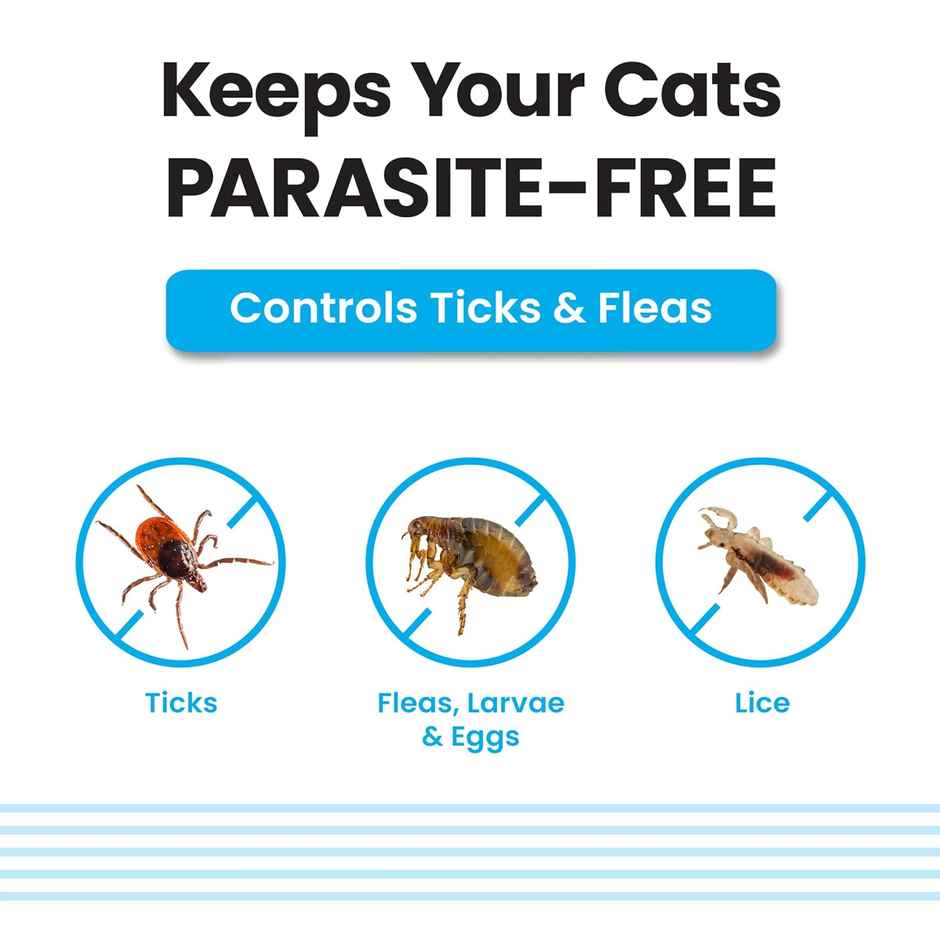 Vivaldis Spot On For Cats, Kittens- Fipronil Tick, Flea, Lice Control | Monthly Preventive Treatment (0.5ml) & Vivaldis Vi-Fi Forte-Tick, Flea, Lice Spray For Dogs, Cats, Kitten & Puppies With Fipronil (100ml) Combo