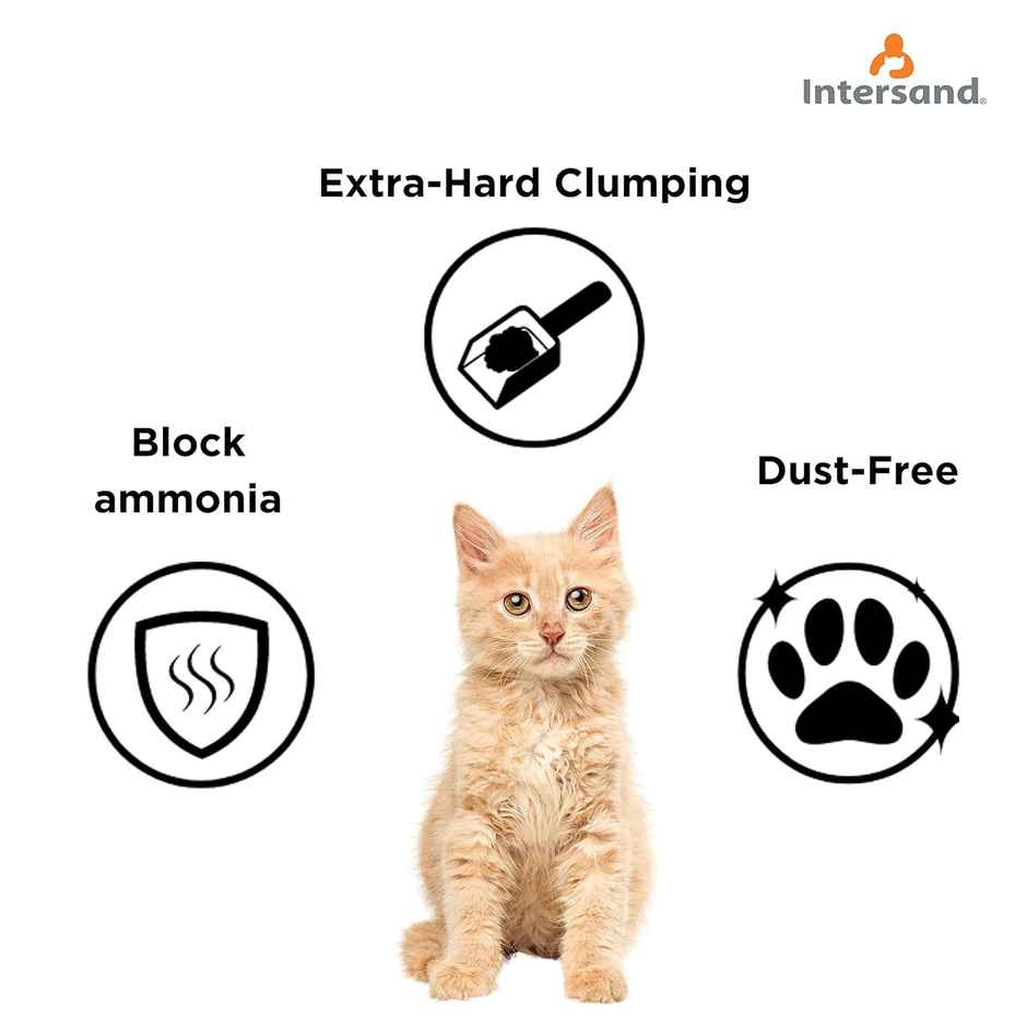 Intersand Odourlock Cat Litter