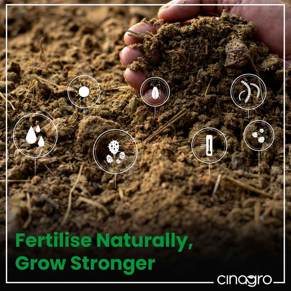 Cinagro Cow Dung Manure Fertilizer For Plants & Home Gardening